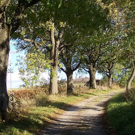 Wilke * Willingen (Upland)