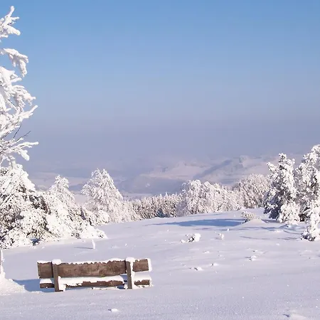 Daire Wilke Willingen (Upland)