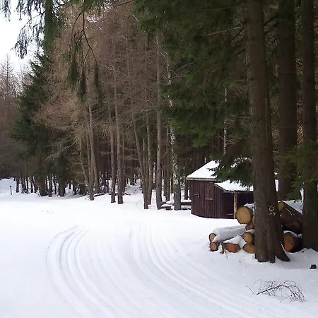 Wilke Daire Willingen (Upland)