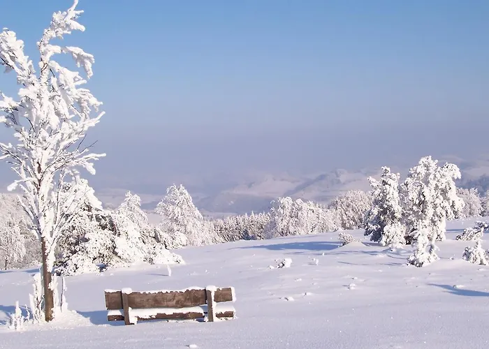 아파트 Wilke 빌링겐