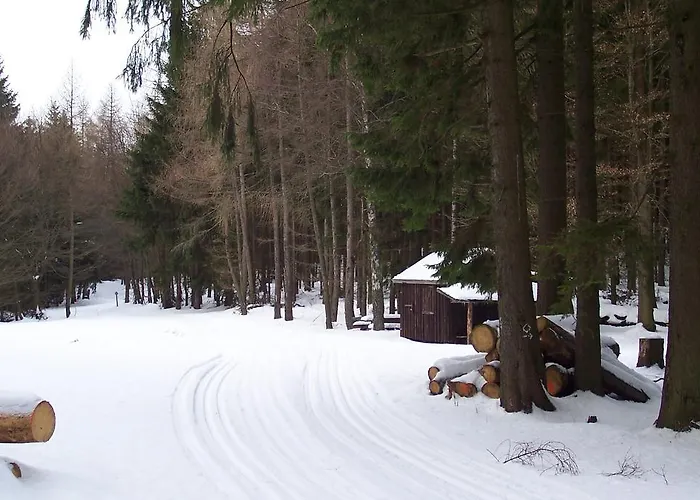 Wilke 아파트 빌링겐